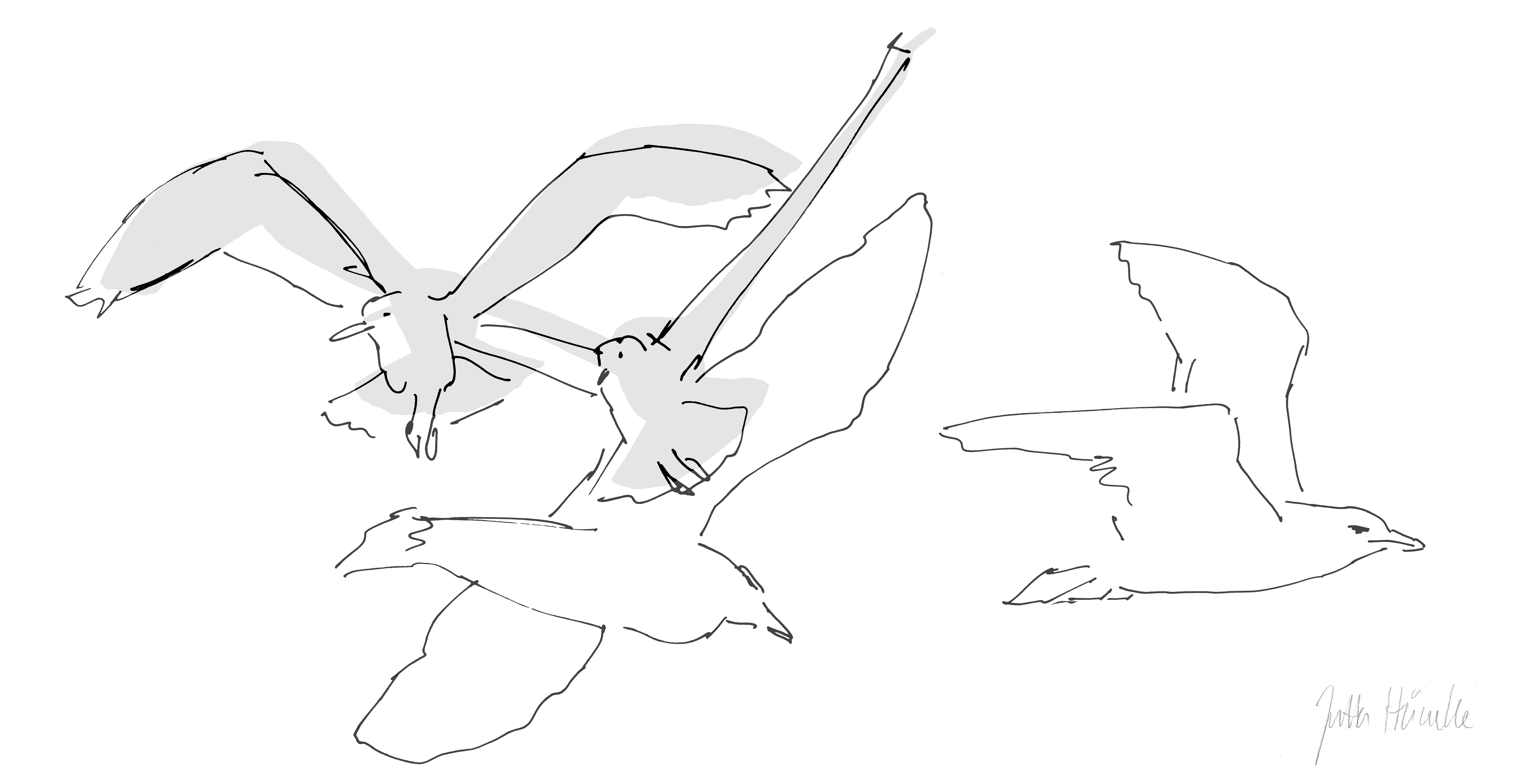 Sea Breeze Skizze